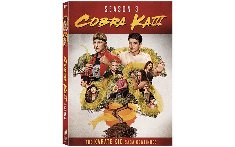 Category:Cobra Kai Characters, The Karate Kid Wiki
